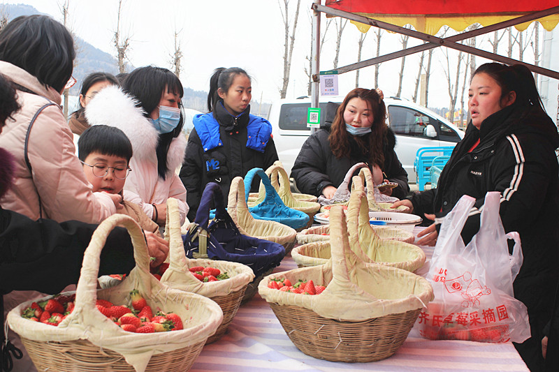 ��ݮ�h��c�´� | ���f�(zh��n)��ɽ�ڲ�ݮ��ժ��Ȥ���������w�e����ζ