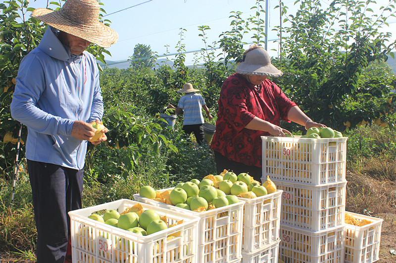 ��ó������Ѕ^(q��)ǰ�����@�����@������������